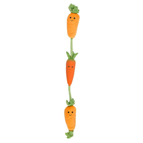 Zoon Tugga Carrots