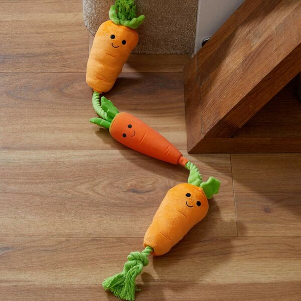 Zoon Tugga Carrots in hallway